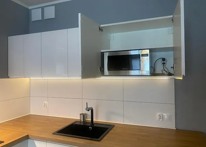 Apartament Central&quiet Studio *